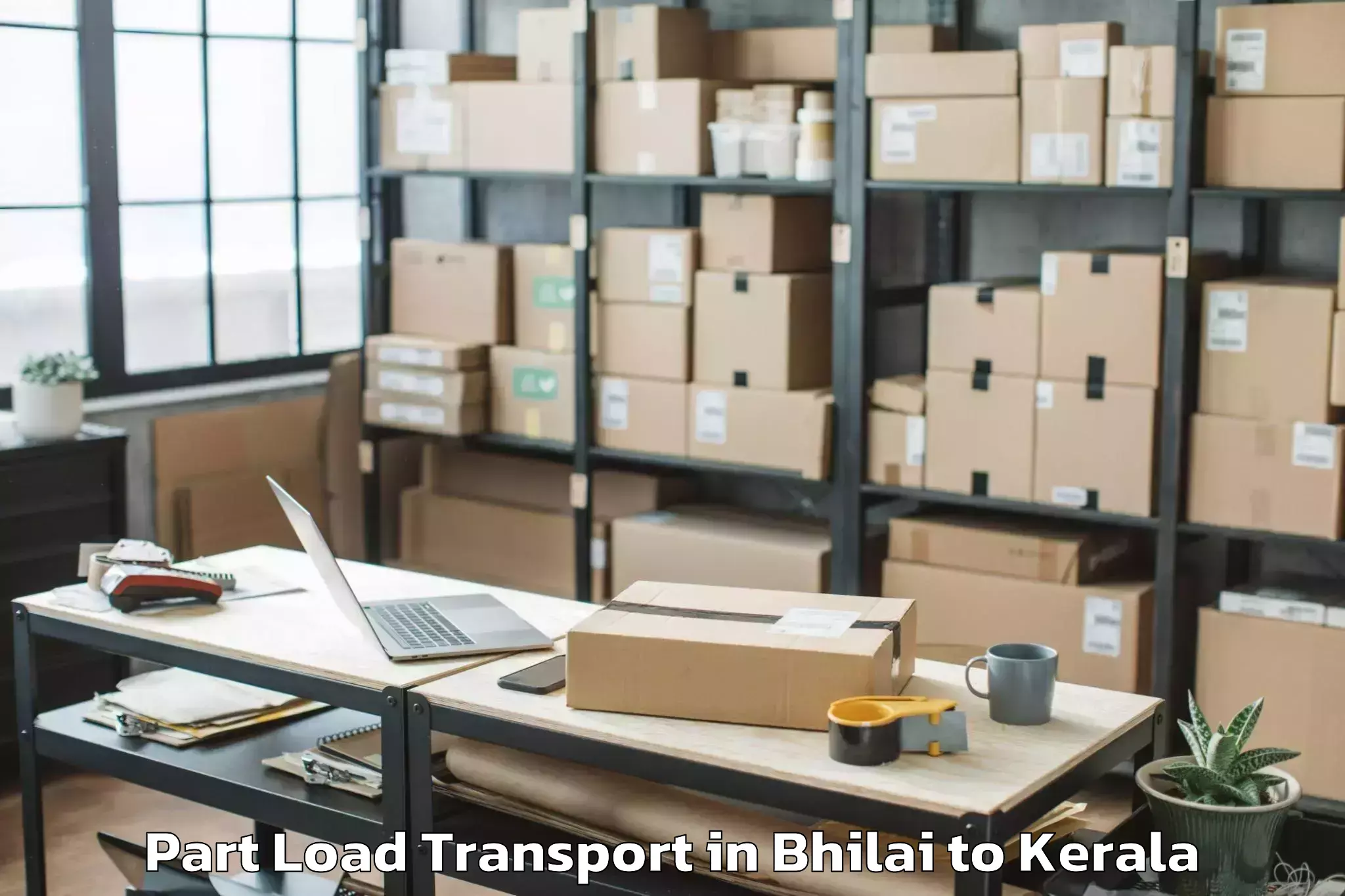 Quality Bhilai to Thenhipalam Part Load Transport